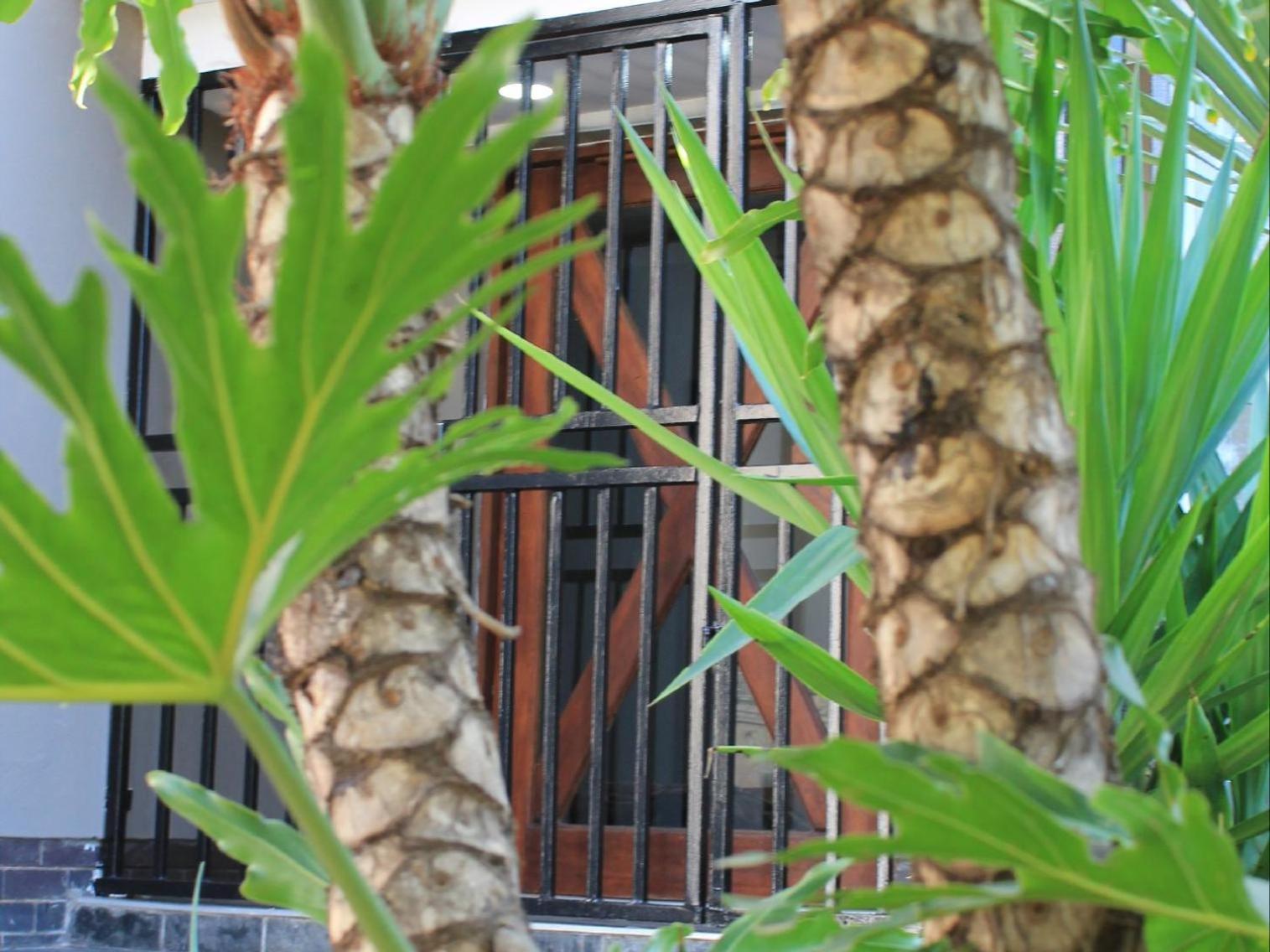 Wild Tree Lodge Benoni Ngoại thất bức ảnh