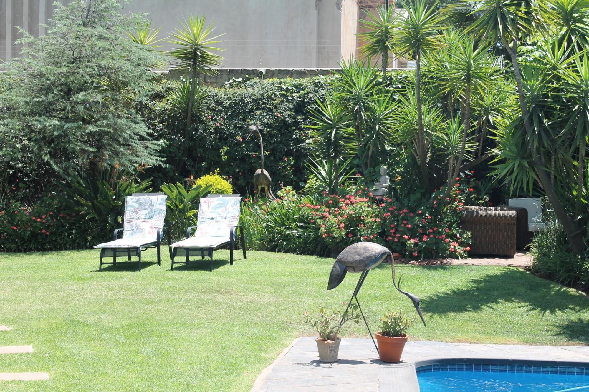 Wild Tree Lodge Benoni Ngoại thất bức ảnh